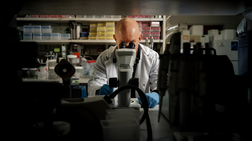 A scientist in a white lab coat looking into a microscope