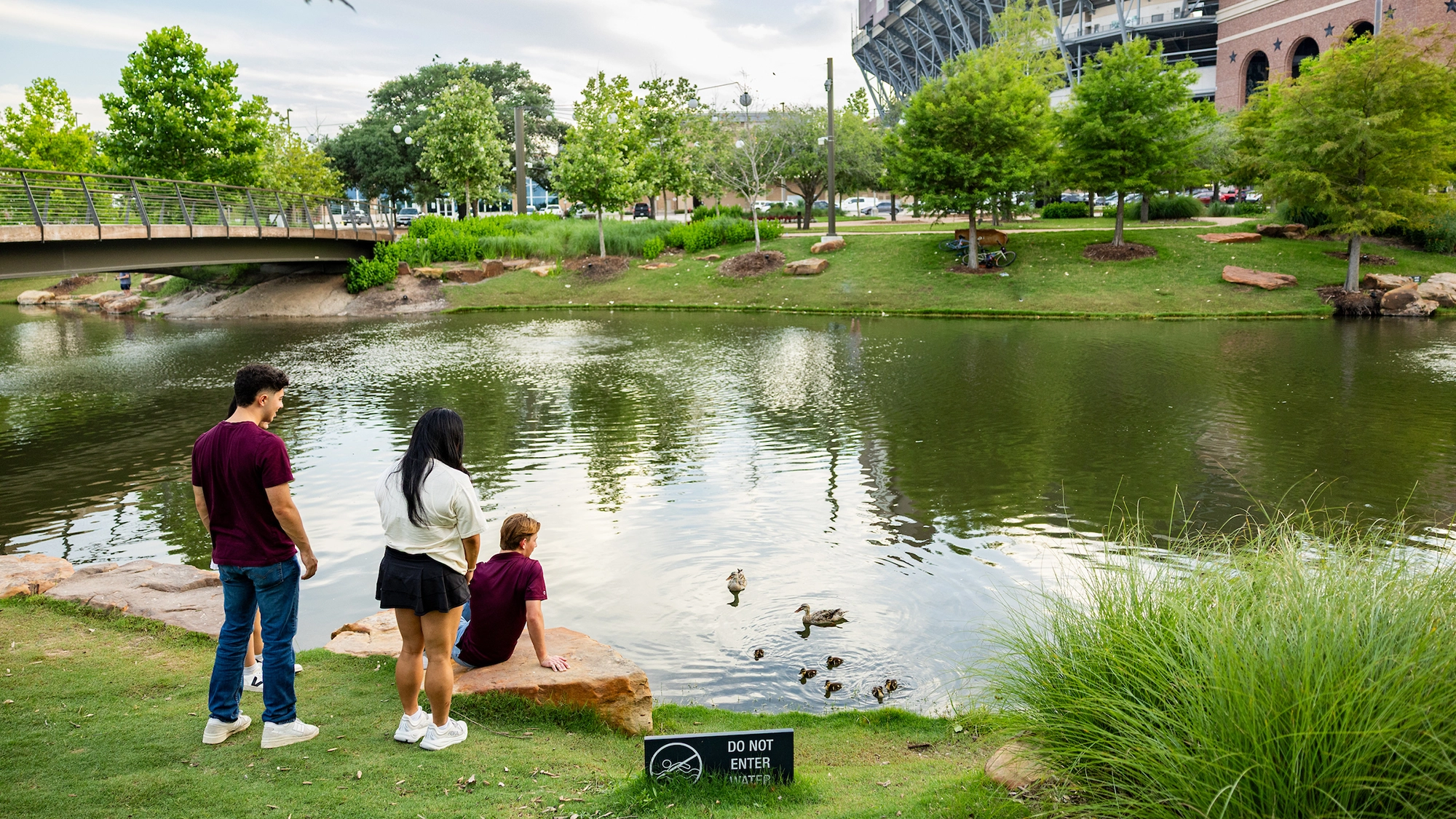 Three people are observing ducks in a tranquil park setting by a pond, with greenery and a bridge in the background.